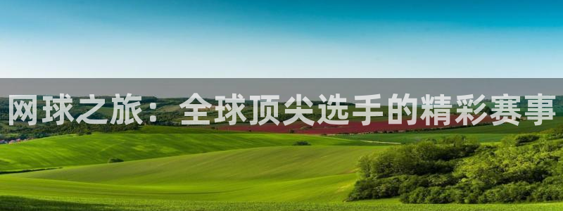 网球之旅：全球顶尖选手的精彩赛事