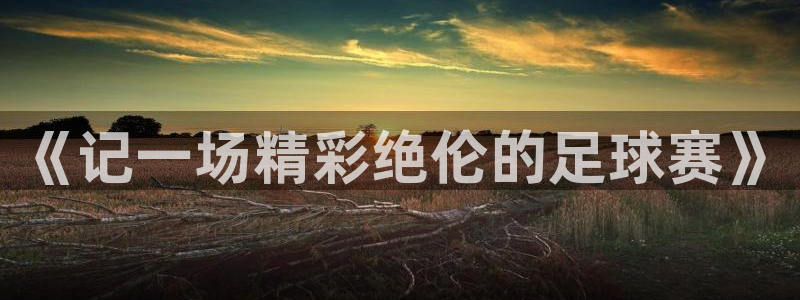 《记一场精彩绝伦的足球赛》
