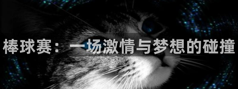 棒球赛：一场激情与梦想的碰撞