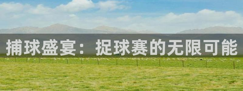 捕球盛宴：捉球赛的无限可能