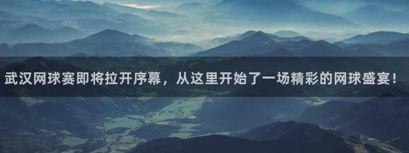 壹号平台已受理13天了还没退款