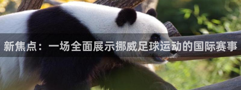 壹号平台登录入口官网：新焦点：一场全面展示挪威足球运动的国际