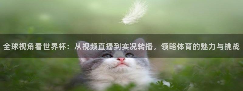 壹号pg娱乐：全球视角看世界杯：从视频直播到实况转播，领略体