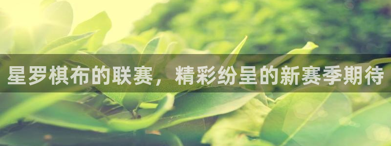 一号平台登录：星罗棋布的联赛，精彩纷呈的新赛季期待