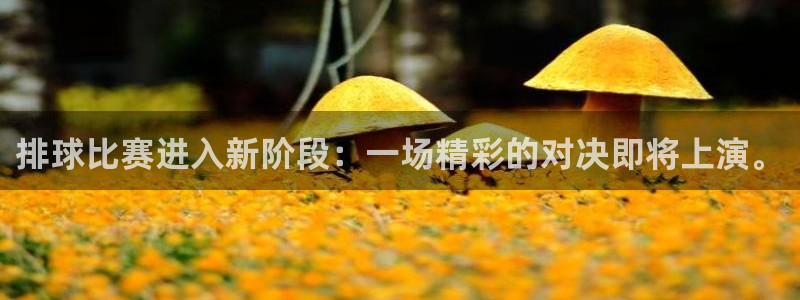 壹号娱乐壁纸
