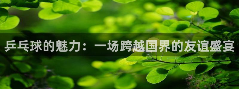 壹号平台app官方下载最新版本：乒乓球的魅力：一场跨越国界的