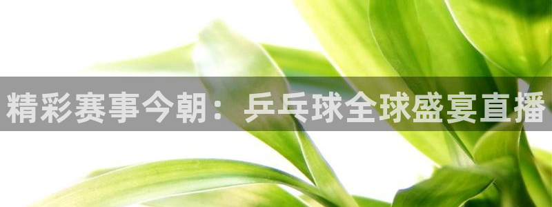 1壹号娱乐