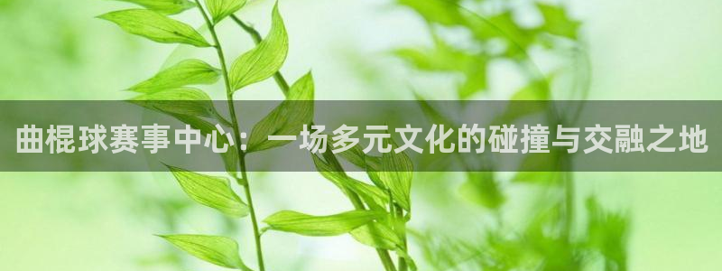壹号文化教育：曲棍球赛事中心：一场多元文化的碰撞与交融之地