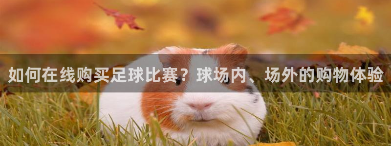 壹号手游：如何在线购买足球比赛？球场内、场外的购物体验