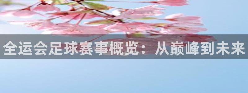 一号公馆音乐会所：全运会足球赛事概览：从巅峰到未来