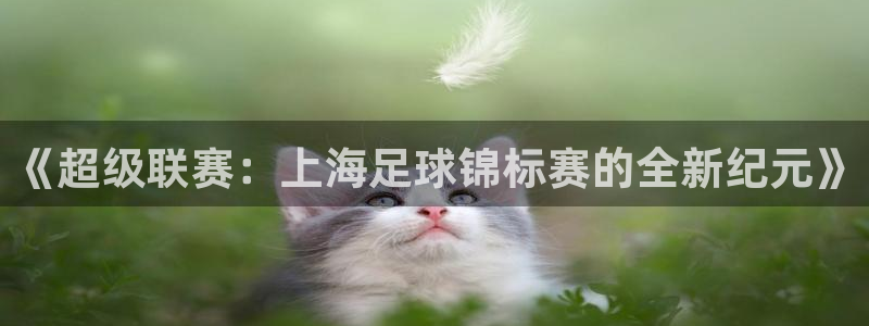 壹号网游企业店：《超级联赛：上海足球锦标赛的全新纪元》