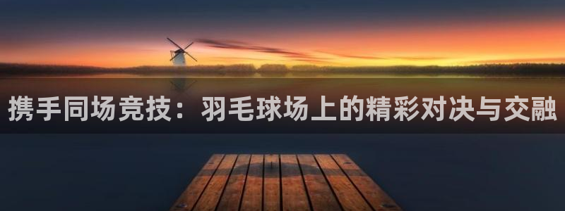 壹号科技：携手同场竞技：羽毛球场上的精彩对决与交融